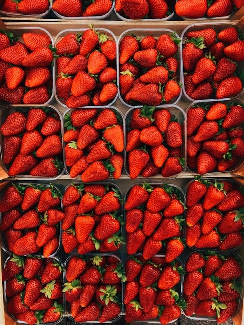 Photo by Image Hunter